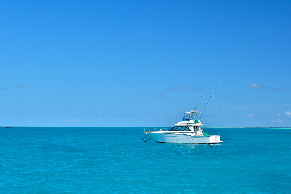 Deep-Sea-Fishing-or-Light-T