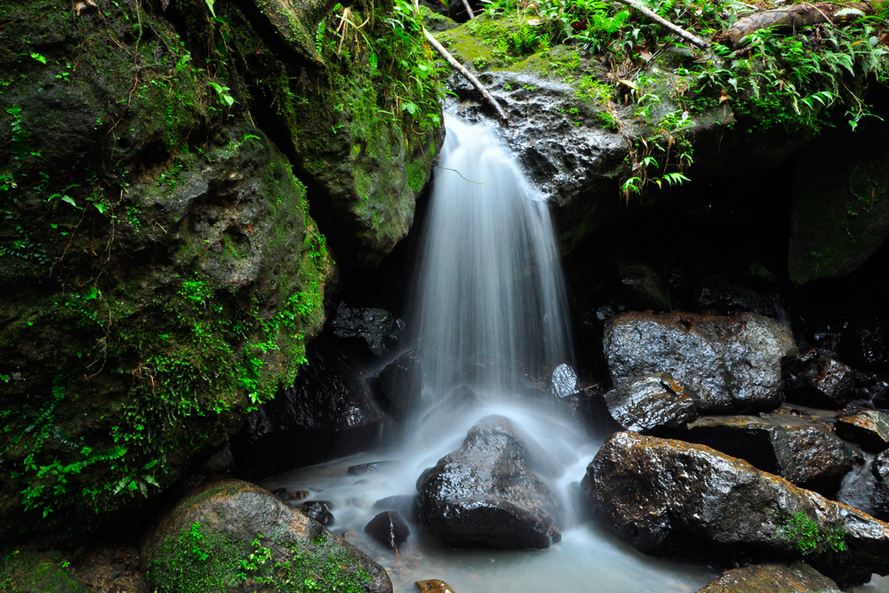 El-Yunque-National-Rainfore-2