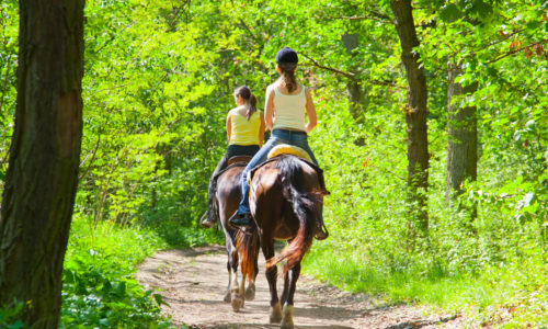 Horseback-Riding