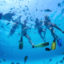 Sail-and-SnorkelTrips-2