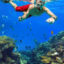 Sail-and-SnorkelTrips-4